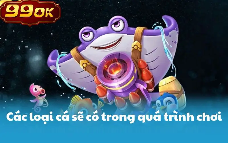 Các loại cá sẽ có trong quá trình chơi