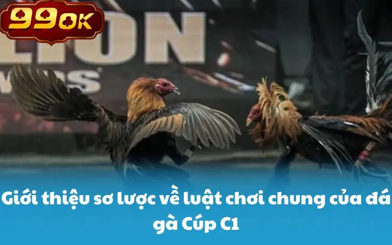 Giới thiệu sơ lược về luật chơi chung của đá gà Cúp C1